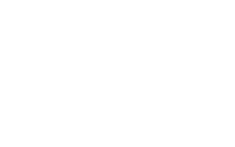 סקייטק ווקטור לבן